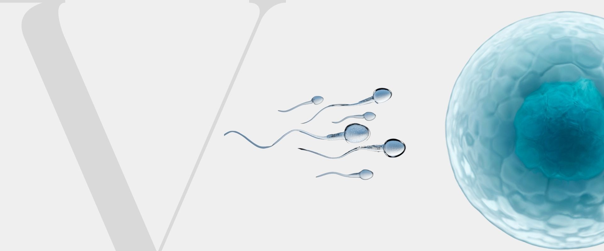Clínica de fertilização São Paulo Clínica de fertilização São Paulo