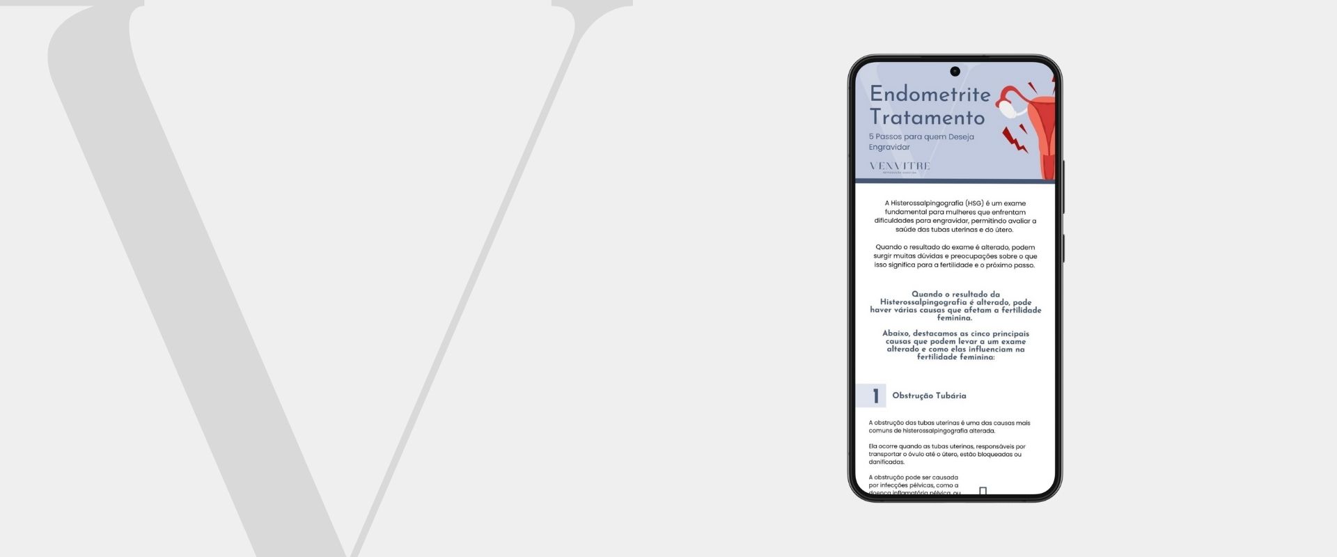 endometrite tratamento endometrite tratamento