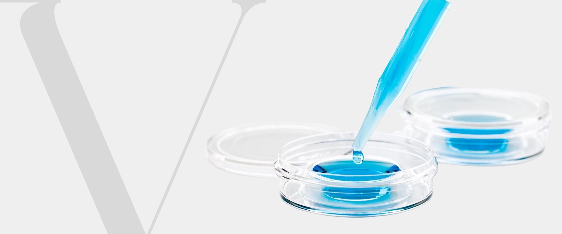 Fertilização in Vitro Valores Fertilização in Vitro Valores
