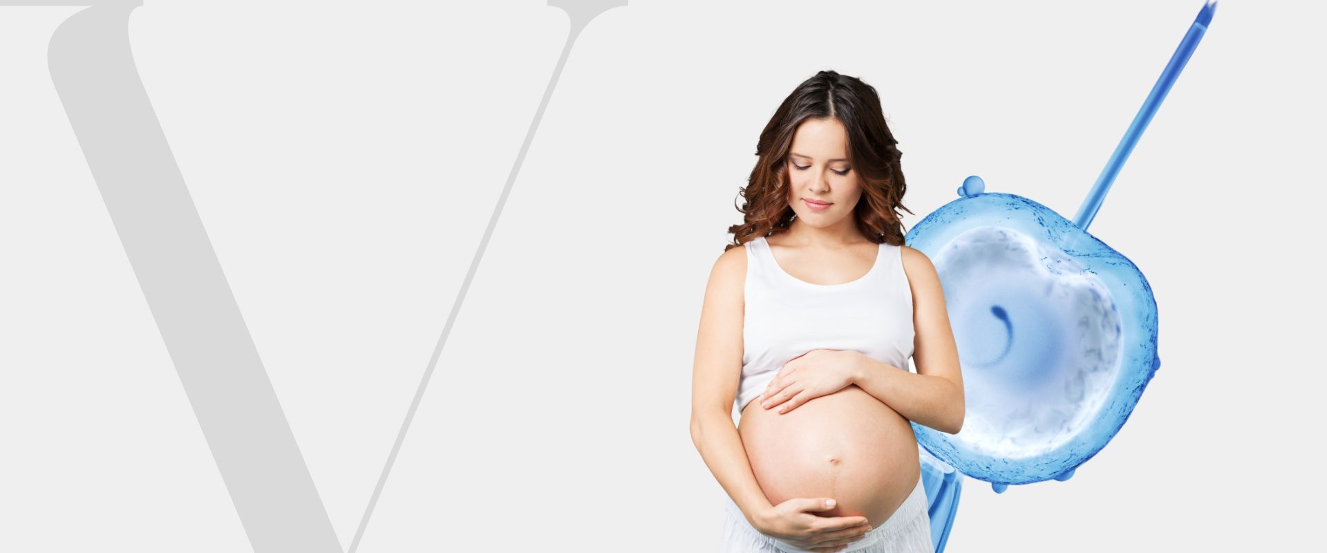Fertilização Fertilização