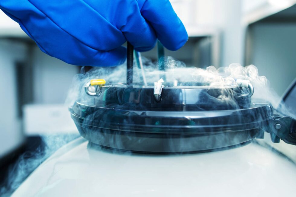Óvulos podem ficar congelados por quanto tempo? Óvulos podem ficar congelados por quanto tempo?