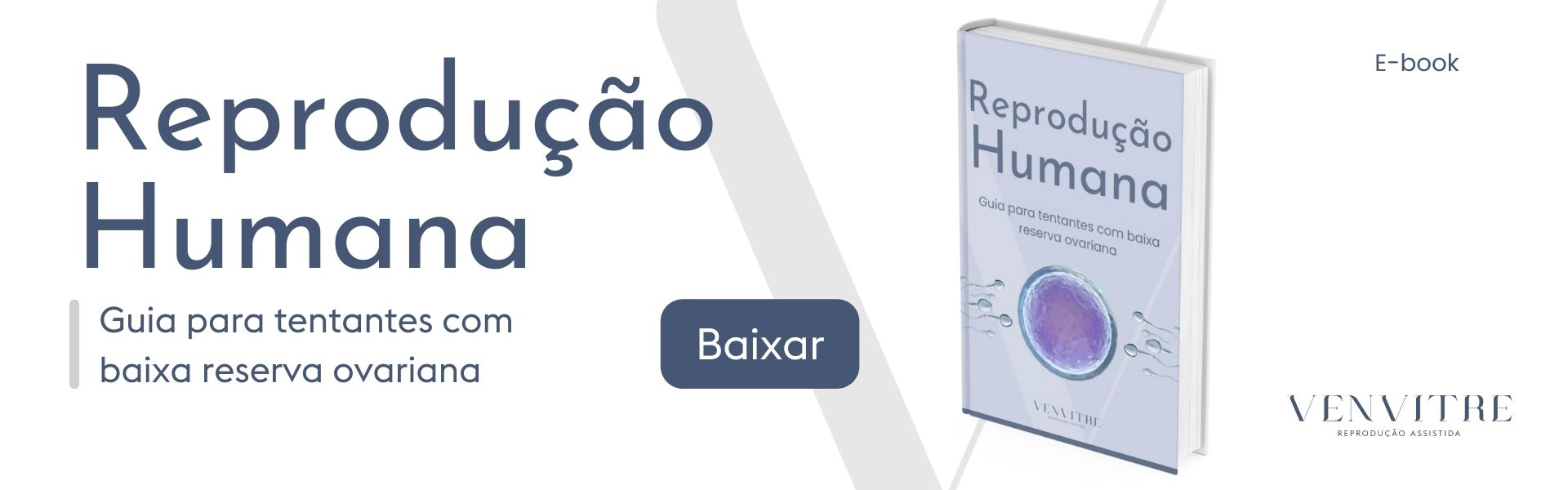 reproducao humana baixar infografico