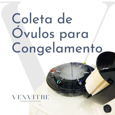 Coleta de Óvulos para Congelamento